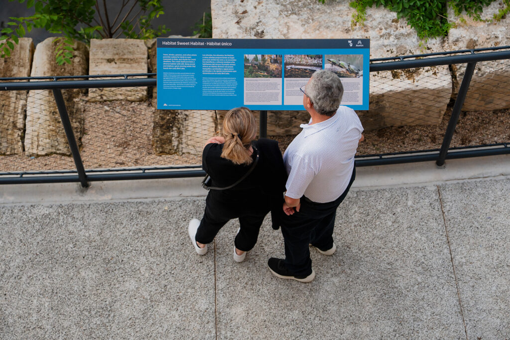 The Confluence is the second phase of Waterloo Greenway’s three-part restoration of Waller Creek in downtown Austin.