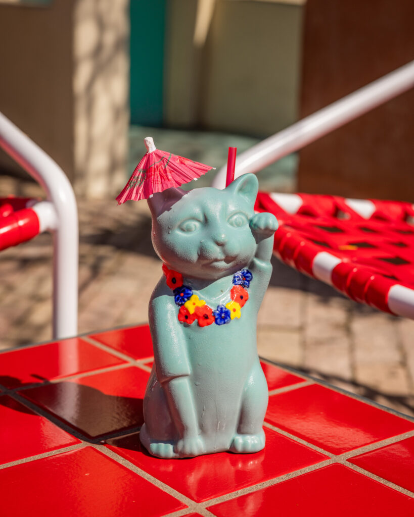 JUNGLE CAT by Rocky’s at Austin Motel