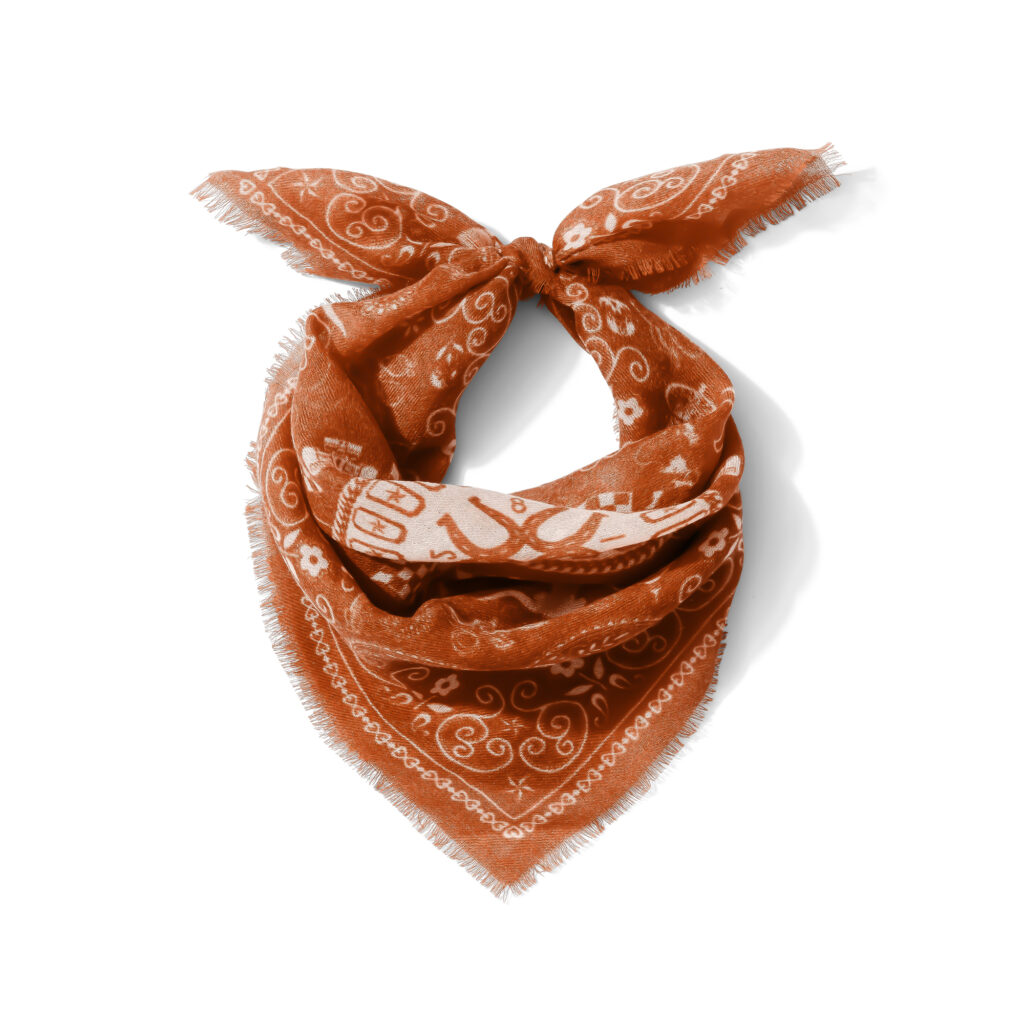 Photo by Skylar Matas – Cashmere Longhorn Scarf