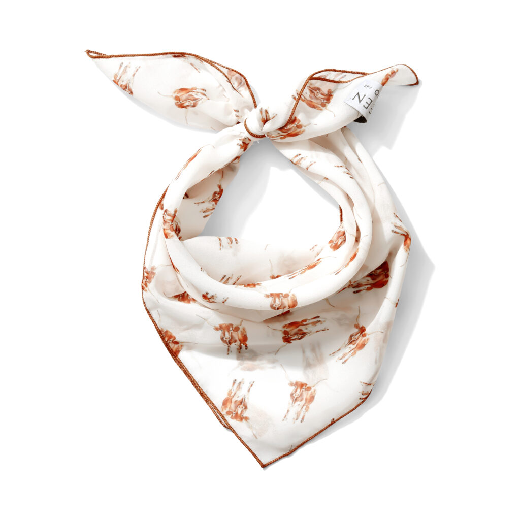 Photo by Skylar Matas – Chiffon Longhorn Scarf