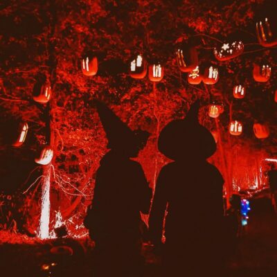 Pumpkin Nights
