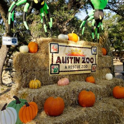 Boo at the Zoo