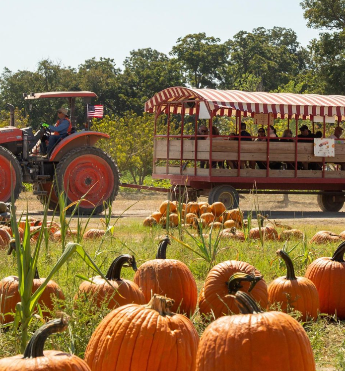 (Photo courtesy of Sweet Eats Adventure Farm)