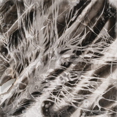 Maya Gauvin, Drift, 2025, Sumi ink, soot, and graphite on paper, 21 x 22". Photo by Alex Boeschenstein.