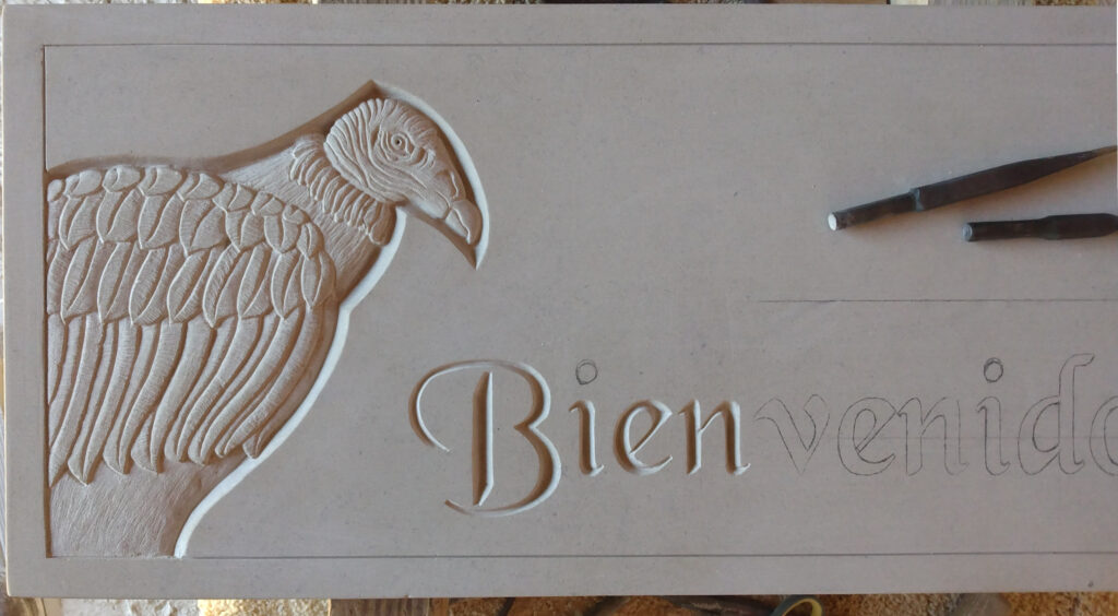 BIENVENIOS_Progress
