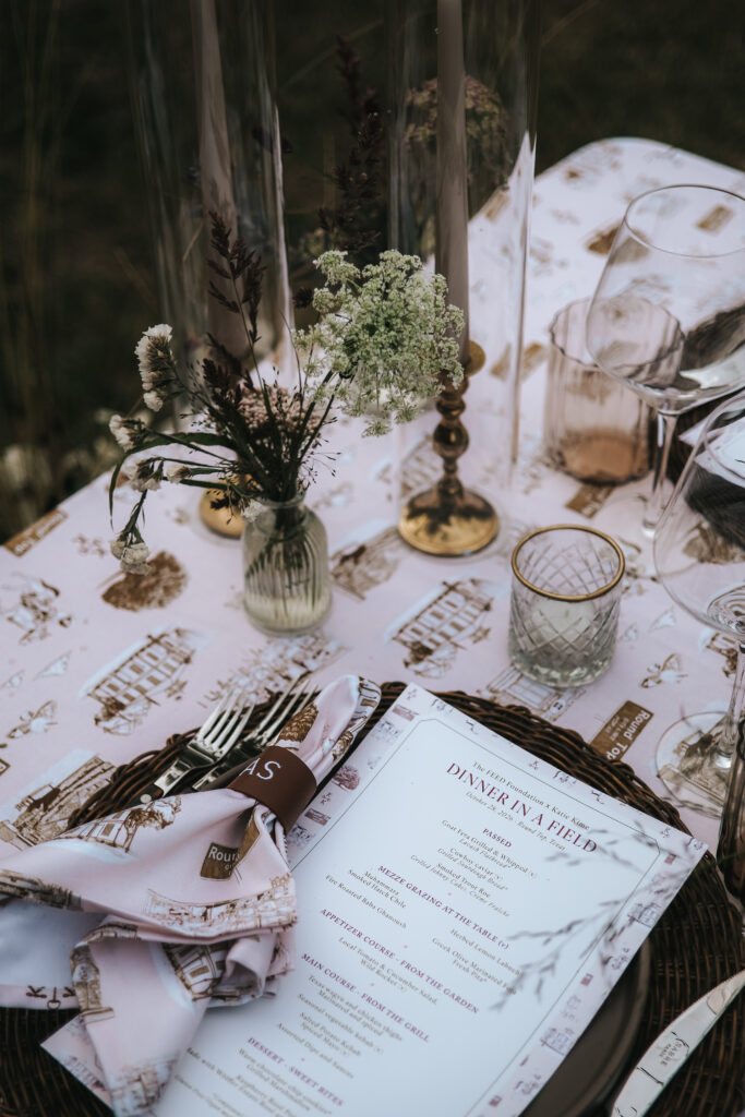 Dinner in a Field