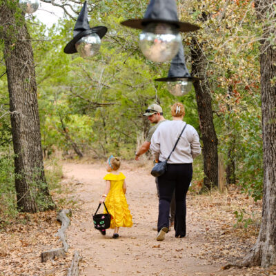 T3 Family Trail 2